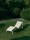 Palissade Cord Chaise Lounge