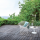 Bertoia Diamond Chair