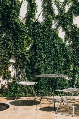 Leaf Chair
