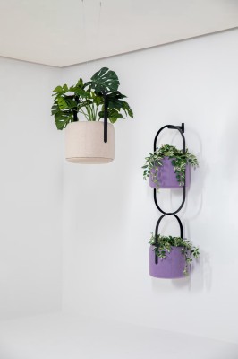 BuzziPlanter