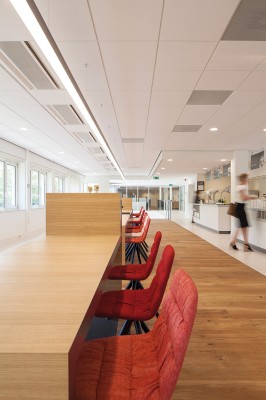 Maarten chair