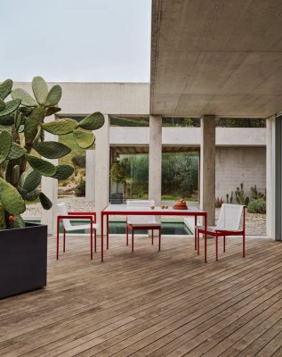 1966 Dining Chair