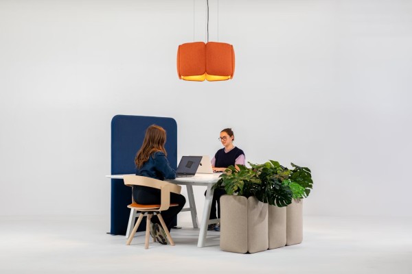 BuzziChicle Light