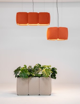 BuzziChicle Light