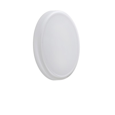 Looped Wall/Ceiling Lamp