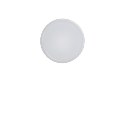 Looped Wall/Ceiling Lamp