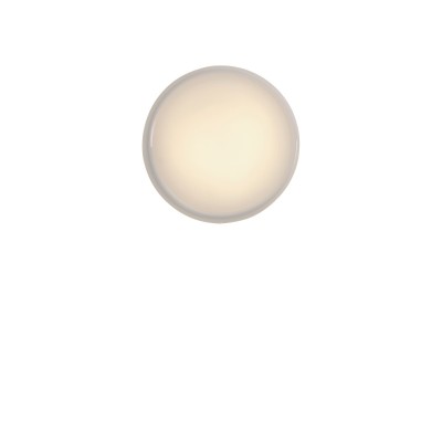 Looped Wall/Ceiling Lamp