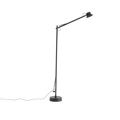 Dedicate Floor Lamp
