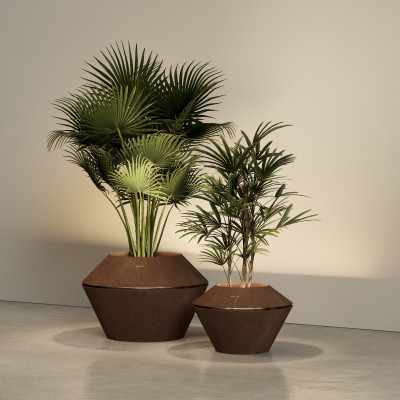 Oyster CORTEN