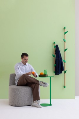 Bamboo Wall