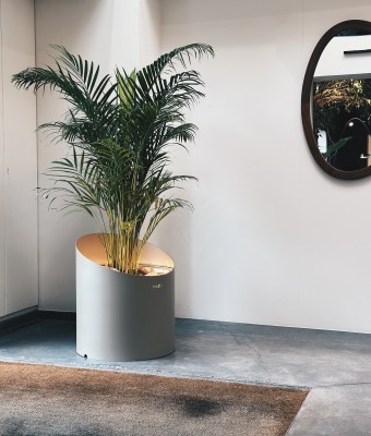 Wedge CORTEN