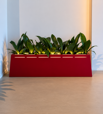 Cubitus Rectangle collection