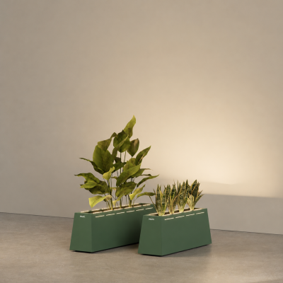 Cubitus Rectangle collection