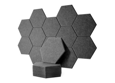 EchoBrick