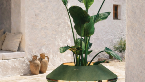 MAZU. - Luxury Planters